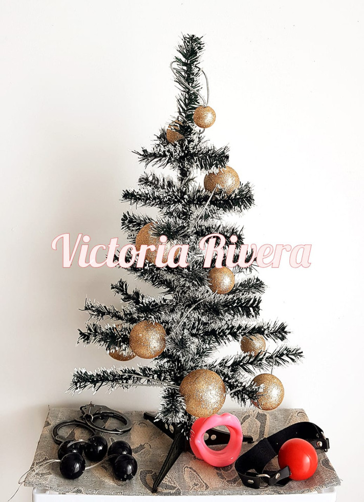 Essa foto fiz no primeiro Natal que passei em meu Estúdio, no ano de 2024. Nessa época, eu havia acabado de colocar minhas próteses mamárias de silicone, as quais em breve eu iria estrear em meus ensaios. Guardo essa foto com muito carinho.